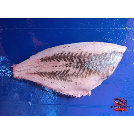 Flądra - tusza bez skóry